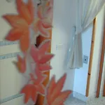 Bed and breakfast Il Giardino *