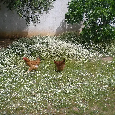 Il Giardino Bed & Breakfast *
