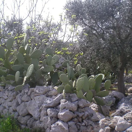 Il Giardino Bed & Breakfast *